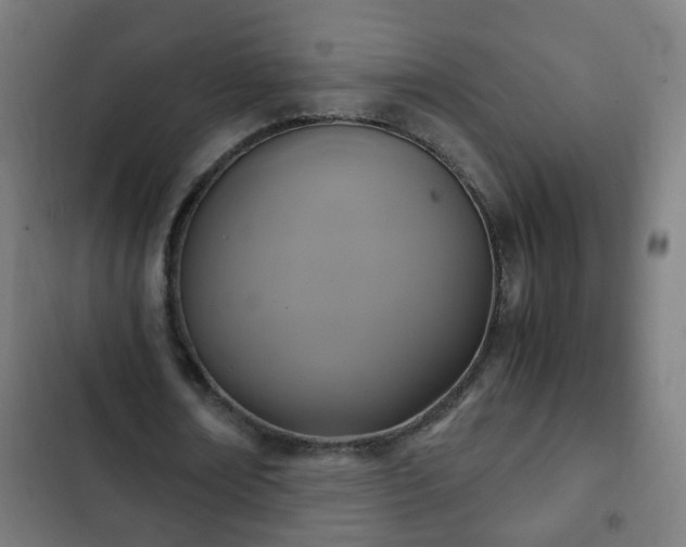 X0000103130674200808291317