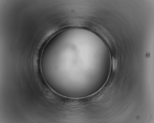 X0000103130675200808291317
