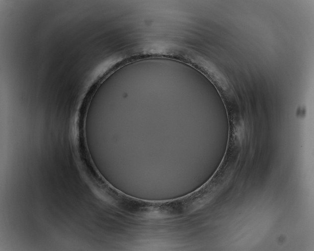 X0000103130678200808291317