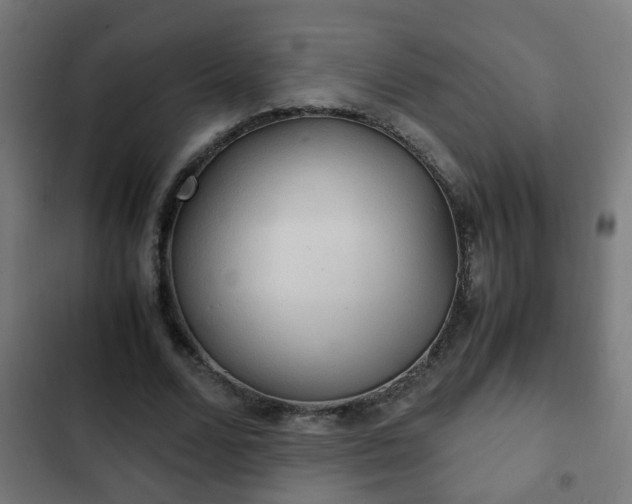 X0000103130680200808291317