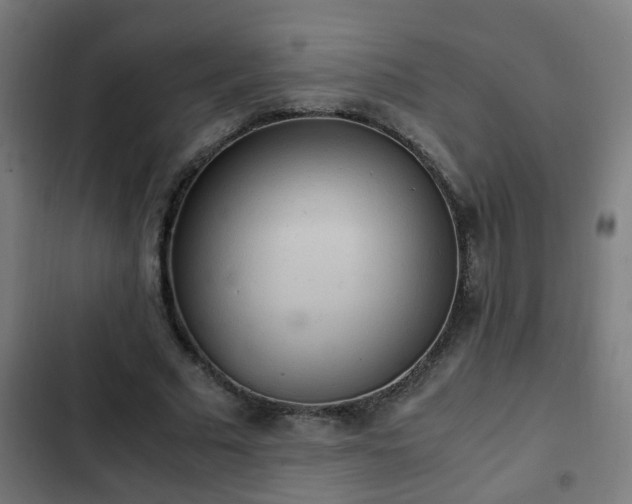 X0000103130681200808291317