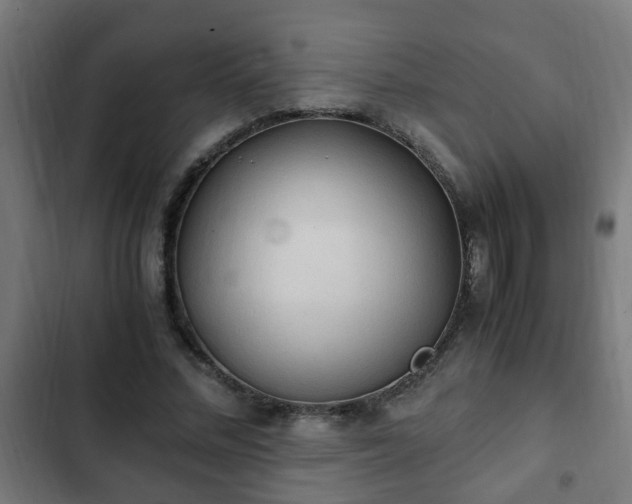 X0000103130684200808291317
