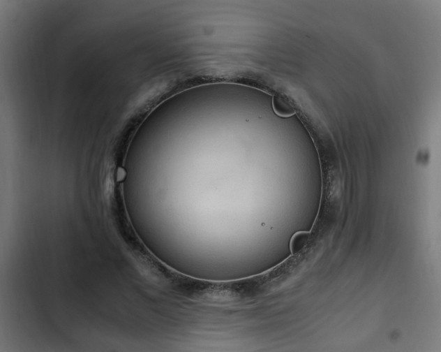 X0000103130685200808291317