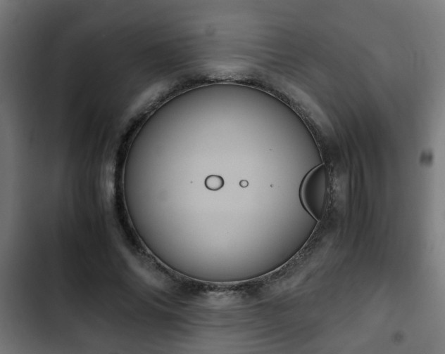 X0000103130686200808291316