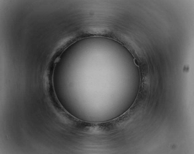 X0000103130688200808291316