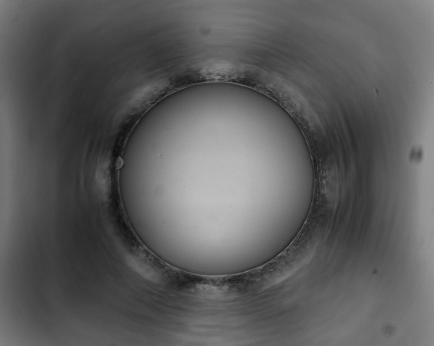 X0000103130690200808291316