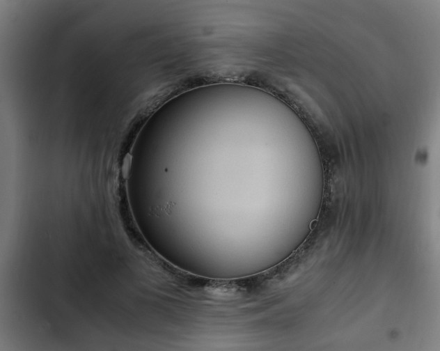 X0000103130693200808291316