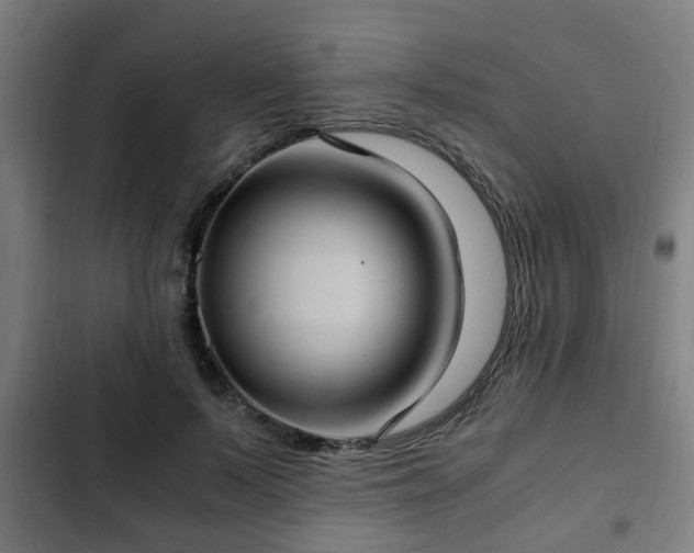 X0000103130695200808291316