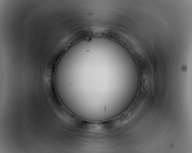 X0000103130698200808291316