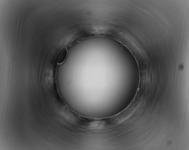 X0000103130700200808291316