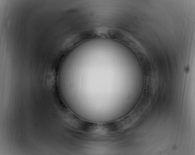 X0000103130702200808291316