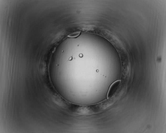 X0000103130704200808291316