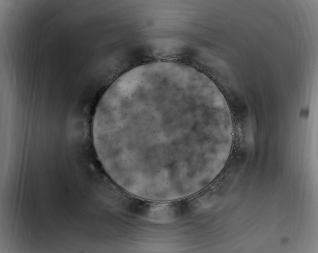 X0000103130705200808291316