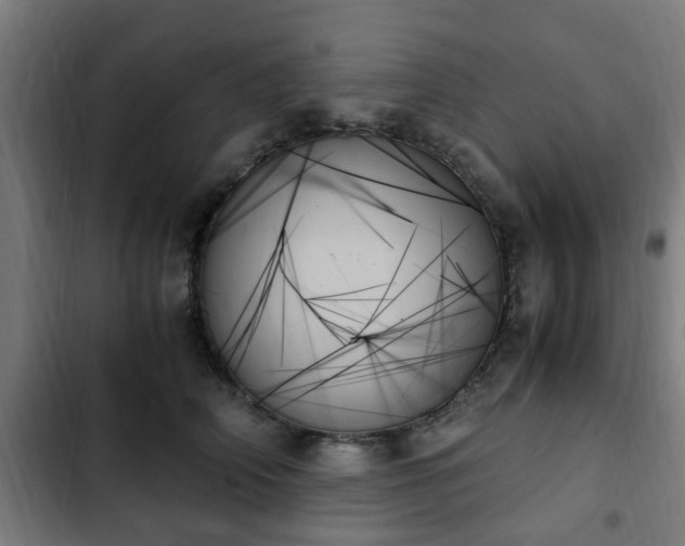 X0000103130706200808291316