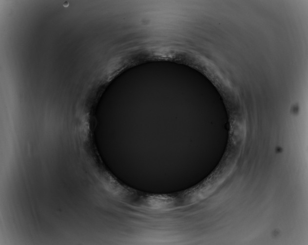 X0000103130707200808291316