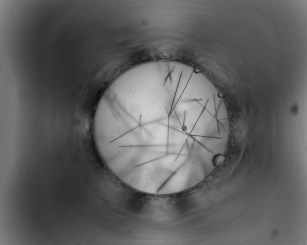 X0000103130709200808291316