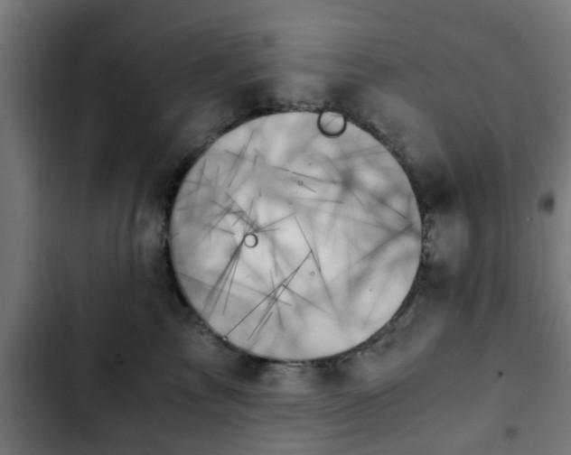 X0000103130713200808291316