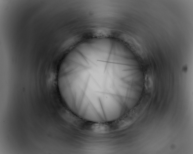 X0000103130714200808291316