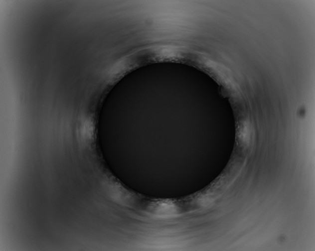 X0000103130715200808291316