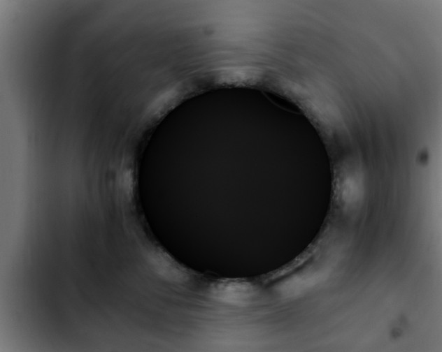 X0000103130716200808291316