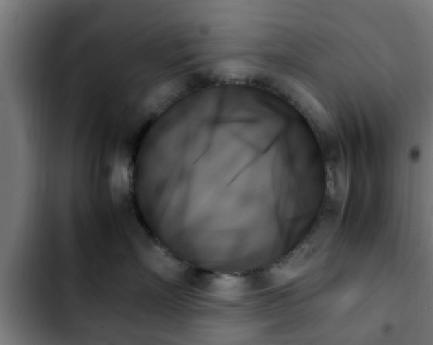 X0000103130718200808291316