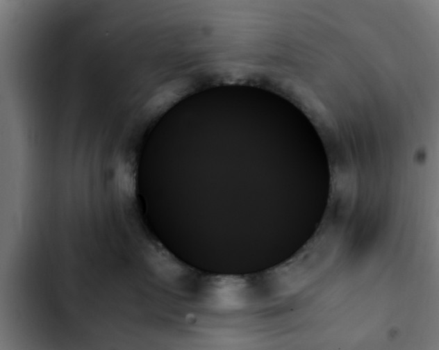 X0000103130719200808291316
