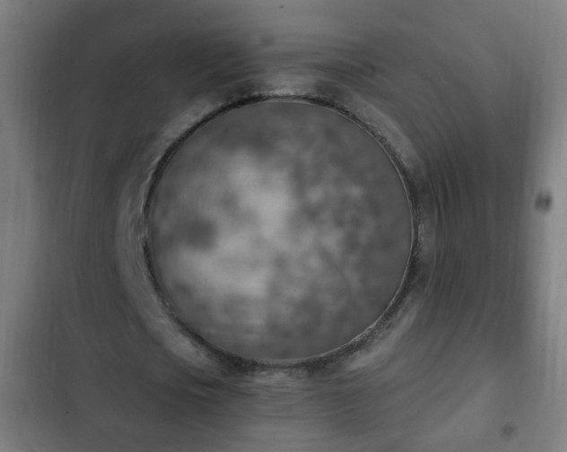 X0000103130721200808291315