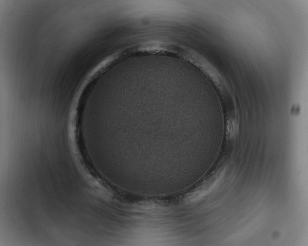 X0000103130724200808291315