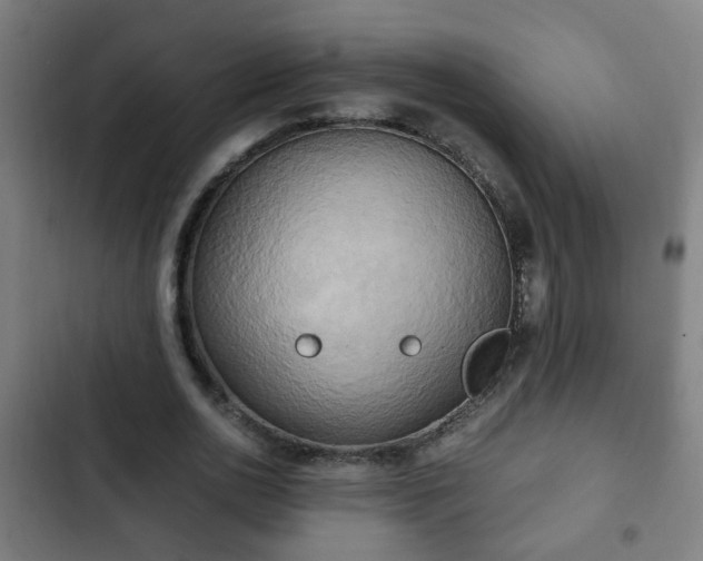 X0000103130726200808291315