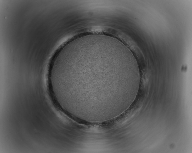 X0000103130728200808291315