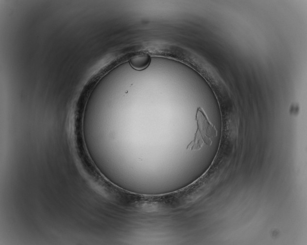 X0000103130730200808291315