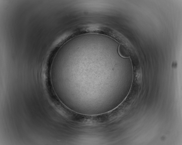 X0000103130732200808291316