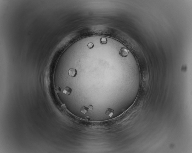 X0000103130734200808291316