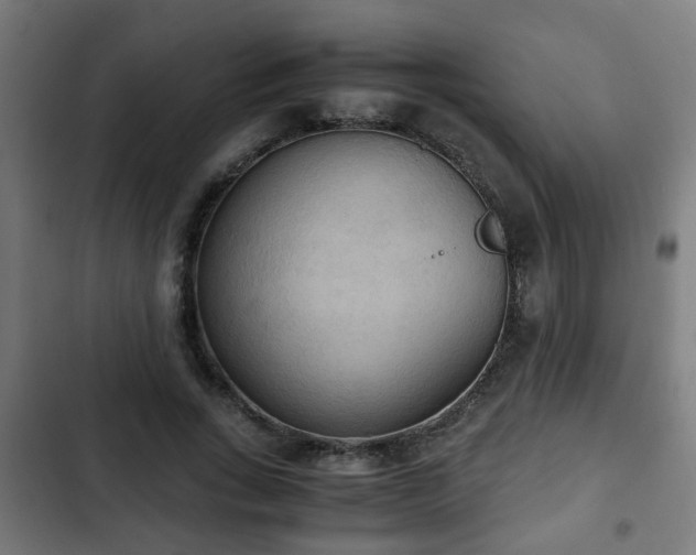 X0000103130735200808291316