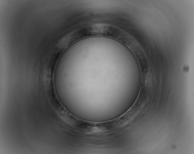 X0000103130737200808291316