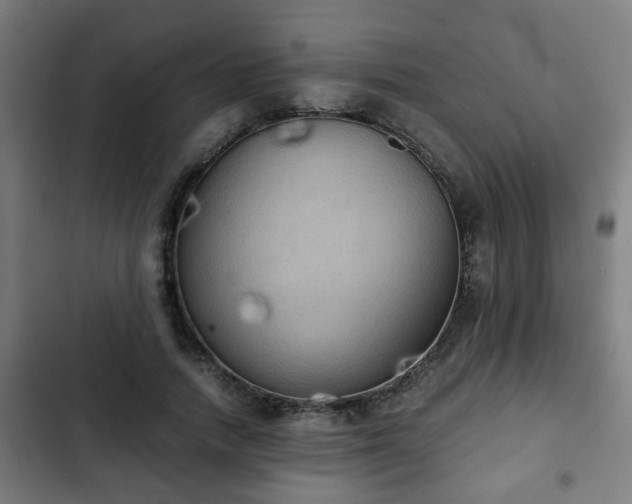 X0000103130738200808291316