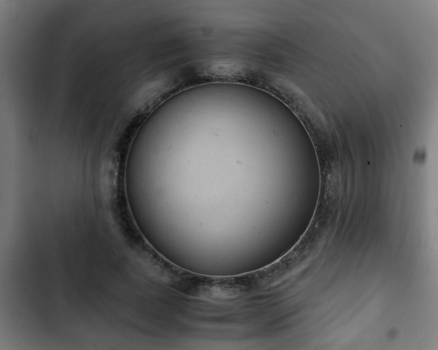 X0000103130739200808291316