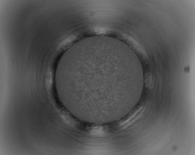 X0000103130740200808291316