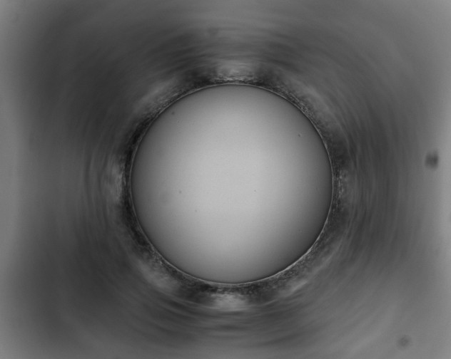 X0000103130741200808291316