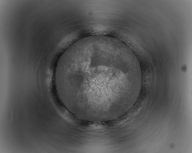 X0000103130742200808291316