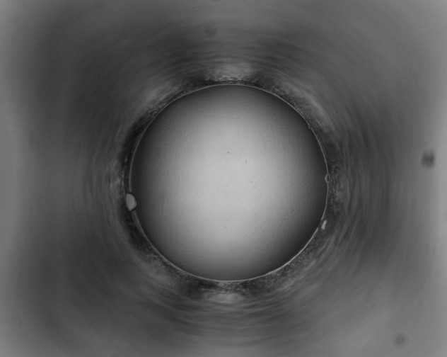 X0000103130743200808291316