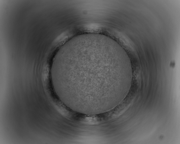 X0000103130744200808291316