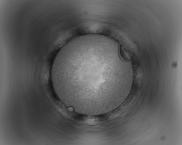 X0000103130746200808291316