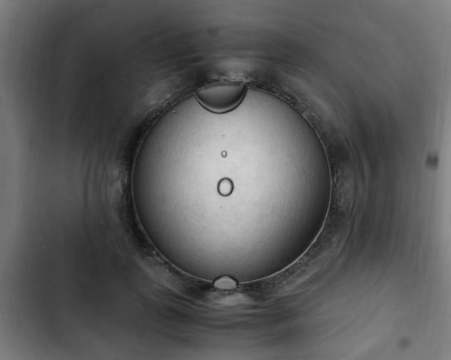 X0000103130747200808291316