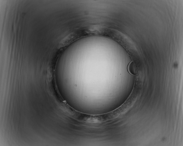 X0000103130751200808291316