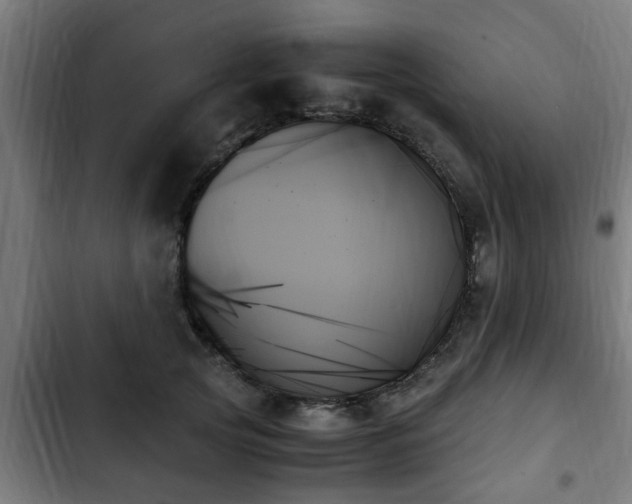 X0000103130753200808291316