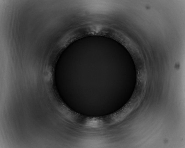 X0000103130754200808291316