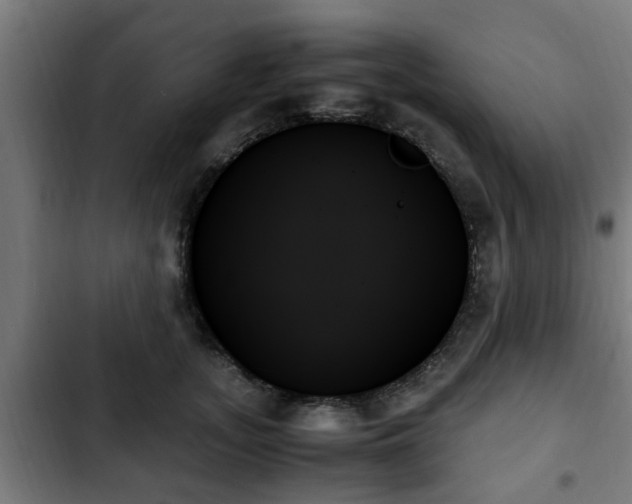 X0000103130755200808291316