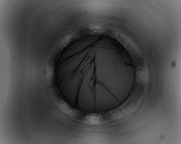 X0000103130756200808291316