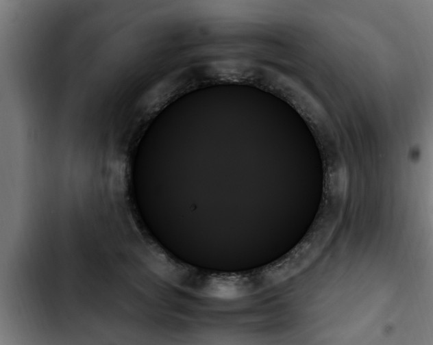 X0000103130757200808291316